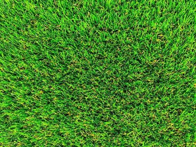 Kunstgras Natural Dutch Color